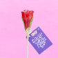 Zubi Red Rose Lolly - Enriched with Vitamin C