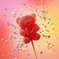 Zubi Gourmet JooC Jelly Teddy Pop - NEW LAUNCH