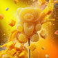 Zubi Gourmet JooC Jelly Teddy Pop MINI - NEW LAUNCH
