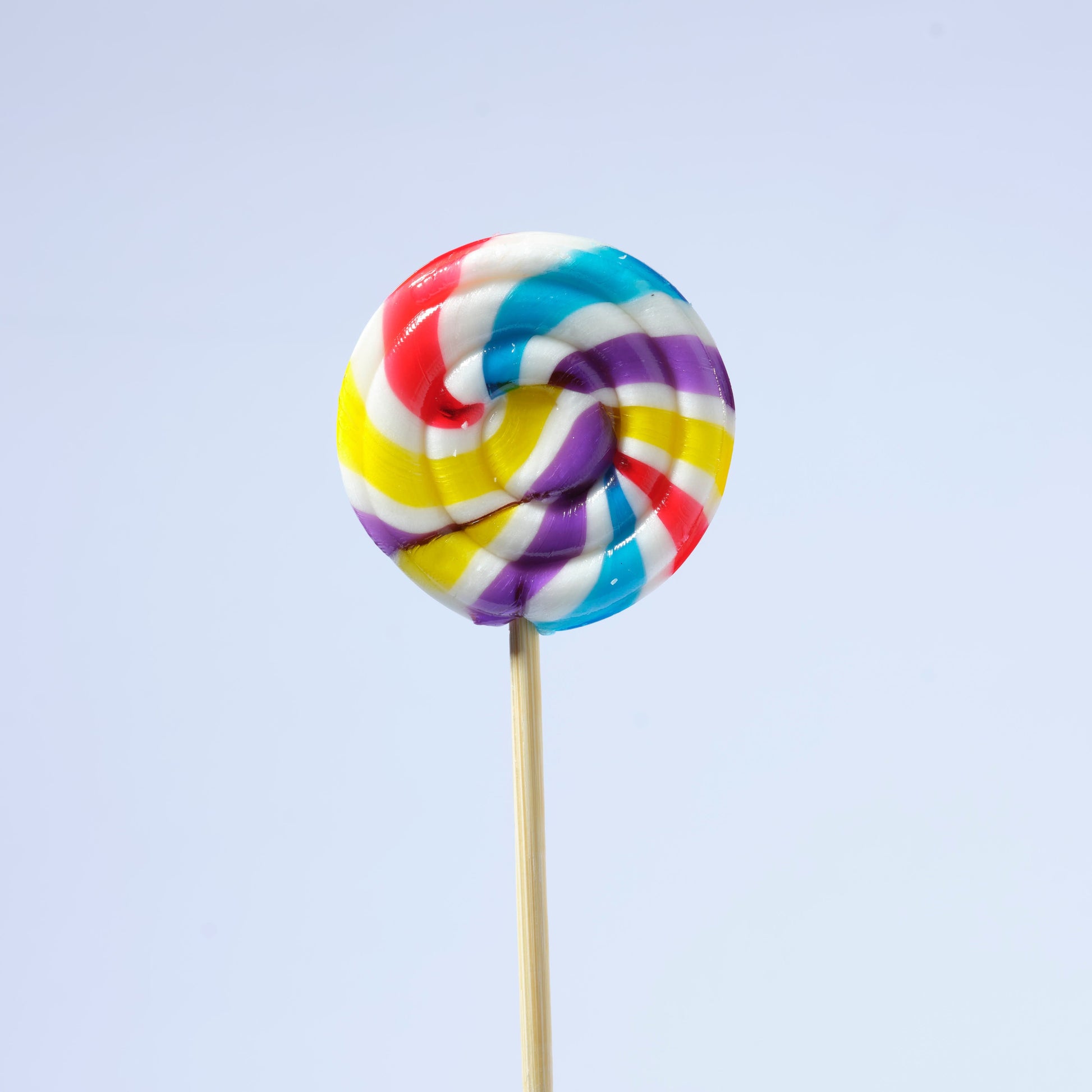 Zubi Small Swirl Lolly