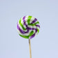 Zubi Small Swirl Lolly