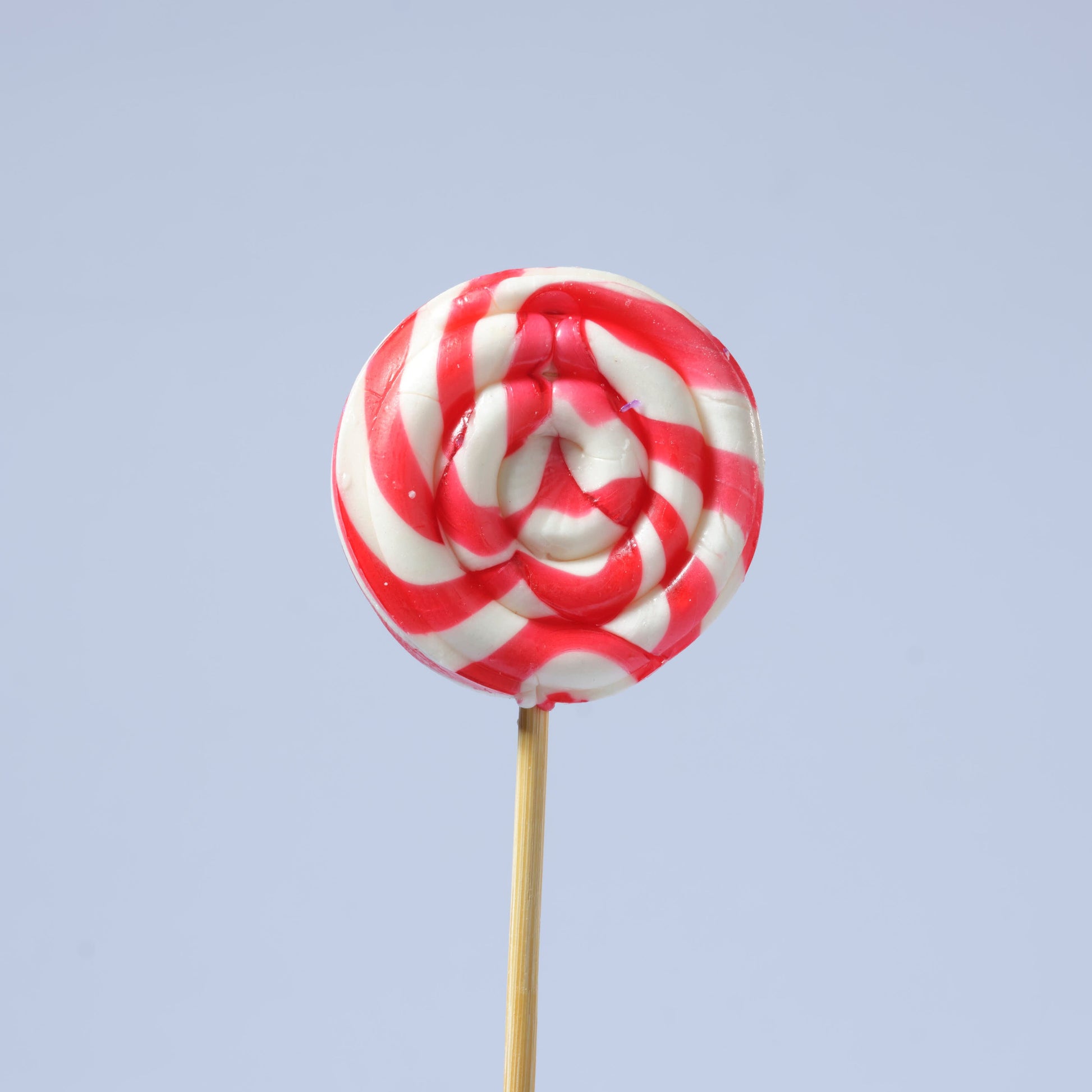 Zubi Small Swirl Lolly