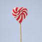 Zubi Small Swirl Lolly