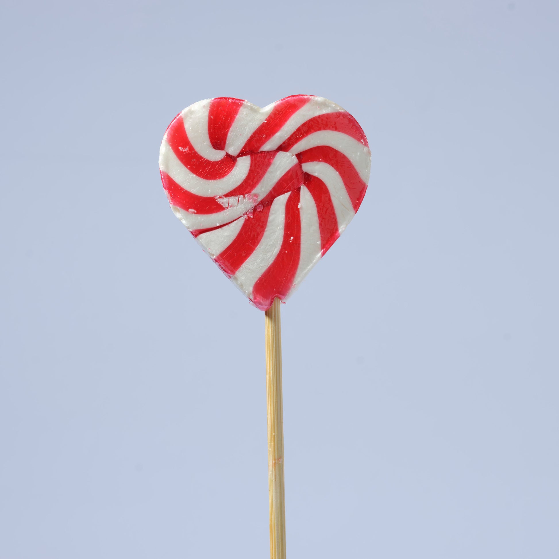 Zubi Small Swirl Lolly